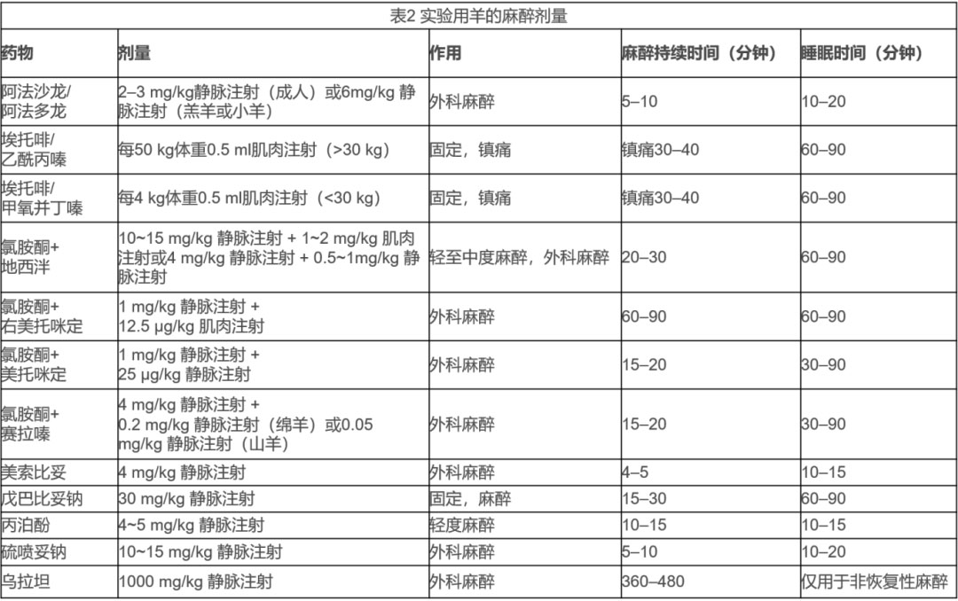 2.jpg 2.jpg